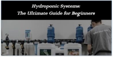 Hydroponic Systems: The Ultimate Guide for Beginners (Guest Blog)
