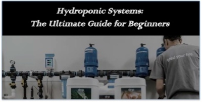 Hydroponic Systems