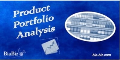 Product Portfolio Analysis