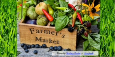 How can we support local food producers?