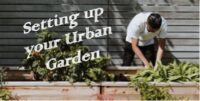 Setting up your Urban Vegetable Garden