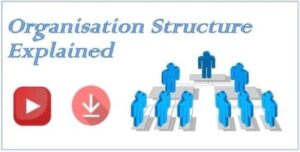 Organisation Structure Explained
